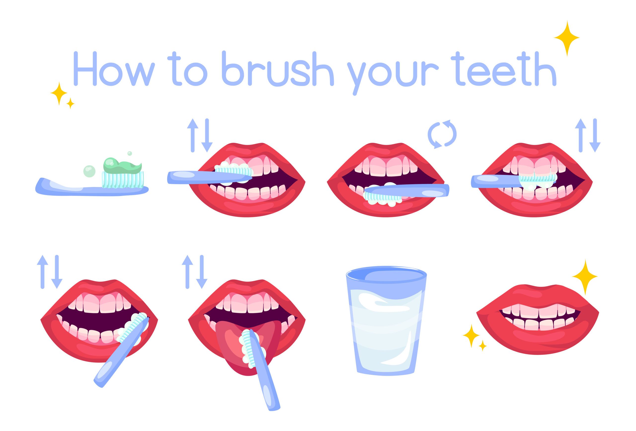 How To Brush Your Teeth Steps And Suggestions North Delhi Dental Clinic